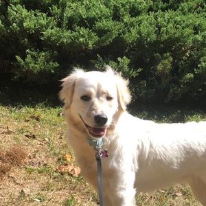 Meet your Posher, Cassandra